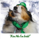 Search for irish playing cards Saint patrick's day