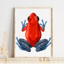 Recherche de froggie posters Pour enfants