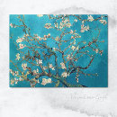 Search for almond postcards Blossoming almond tree