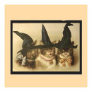 Search for vintage halloween postcards Black cats