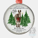Search for donkey ornaments Watercolor