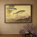 Search for mackerel posters Seafood