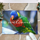 Recherche de perroquet rouge Oiseau