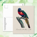 Recherche de perruche bleue cartes postales Pour tous