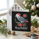 Search for parrot christmas cards African grey parrot