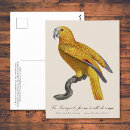 Recherche de perroquets cartes postales Illustration