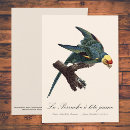 Recherche de conures vœux cartes Perruche