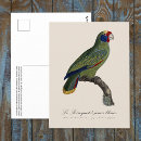 Search for amazone postcards Bird