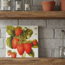 Recherche de ancien carreaux Pour elle