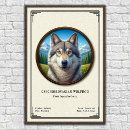 Recherche de loups sauvages posters Chien