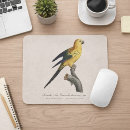 Search for conures mousepads Sun conure
