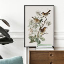 Search for vintage bird posters Nature