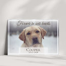 Search for pet memorial cards Forever in our hearts