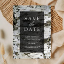 Search for birch tree save the dates Winter