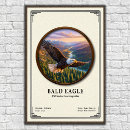 Search for birds nesting posters Bald