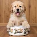 Search for dinner pet supplies Dogs