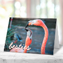 Search for flamingo cards Bird