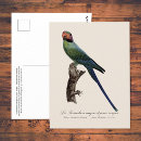 Recherche de perruche bleue cartes postales Pour tous
