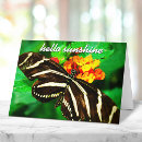 Search for saying hello cards Photography