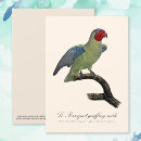 Search for cheeks cards Parrot