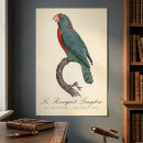 Recherche de perruche verte posters Perroquet