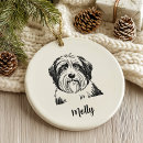 Search for bearded ornaments Collie