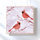Search for two birds posters Watercolor