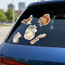 Search for assortment stickers Laptop