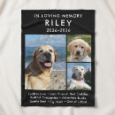 Search for rainbow bridge blankets Remembrance