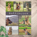 Search for dog blankets Unique