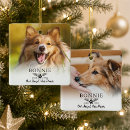 Search for dog with angel wings Dogs