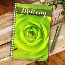 Search for cactus planners Succulent