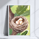 Search for bird egg posters Nest
