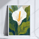 Search for white lily posters Leaves