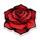 Search for rose red keychains Nature