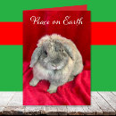 Search for cute bunny christmas cards Rabbits