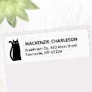 Search for crazy cat lady return address labels Kitten