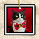 Search for tuxedo cat ornaments Kitty