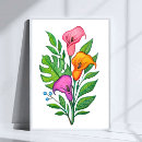 Search for callas art Drawing