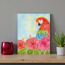 Search for macaws postcards Watercolor