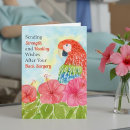 Search for macaws cards Watercolor