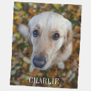 Search for dog blankets Modern