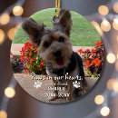 Search for sympathy pet memorial ornaments Cute