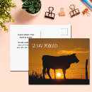 Recherche de vache drôle cartes postales Nouvelle maison