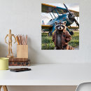 Search for funny raccoon posters Wildlife