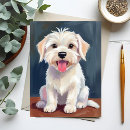 Recherche de maltais cartes postales Chiot