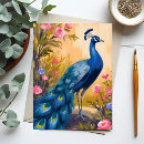 Search for peacock feathers postcards Beautiful