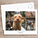 Search for family postcards Create your own