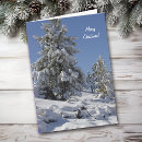 Search for colorado christmas cards Landscape
