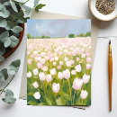 Recherche de tulipe blanche cartes postales Fleurs